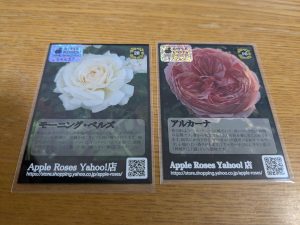 アップルローゼスの福袋ネタバレ2025-3-2