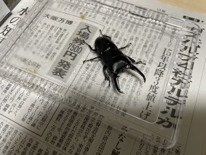 の福袋ネタバレ2025-1-2