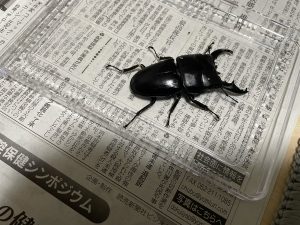 の福袋2025-1-3