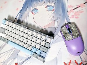 グロウスアーツの福袋の中身2025-15-1