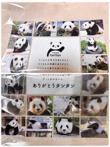 神戸市立王子動物園の福袋2025-8-3