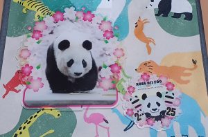 神戸市立王子動物園の福袋の中身2025-9-1