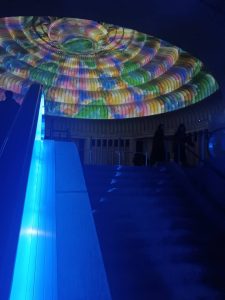 美術館の福袋の中身2025-6-1