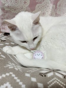 トモ?@ときどきカフェの福袋ネタバレ2025-10-2