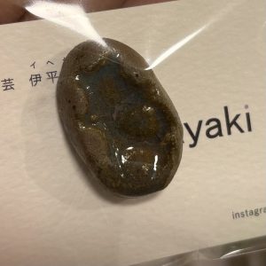 Cocco商店の福袋ネタバレ2025-5-2