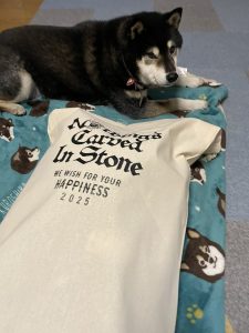 Nothing’s Carved In Stoneの福袋の中身2025-9-1