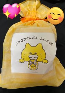 ノラネコぐんだんの福袋の中身2025-1-1