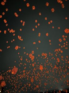 の福袋の中身1-9-1