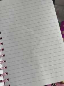 フライングタイガーの福袋ネタバレ2025-5-2