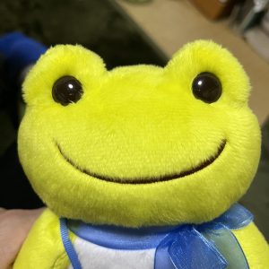 の福袋ネタバレ2025-2-2