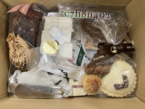 の福袋の中身2025-10-1